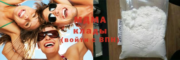 PSILOCYBIN Алзамай