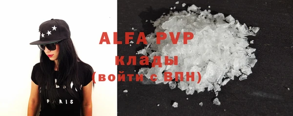 гашик Алексин