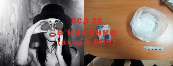 PSILOCYBIN Алзамай