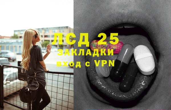 гашик Алексин