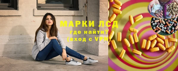 гашик Алексин