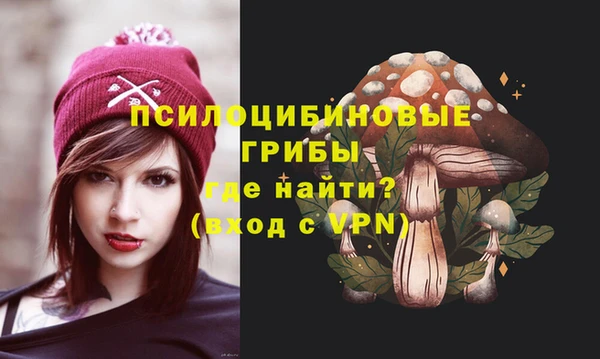 PSILOCYBIN Алзамай
