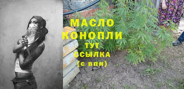 гашик Михайловск